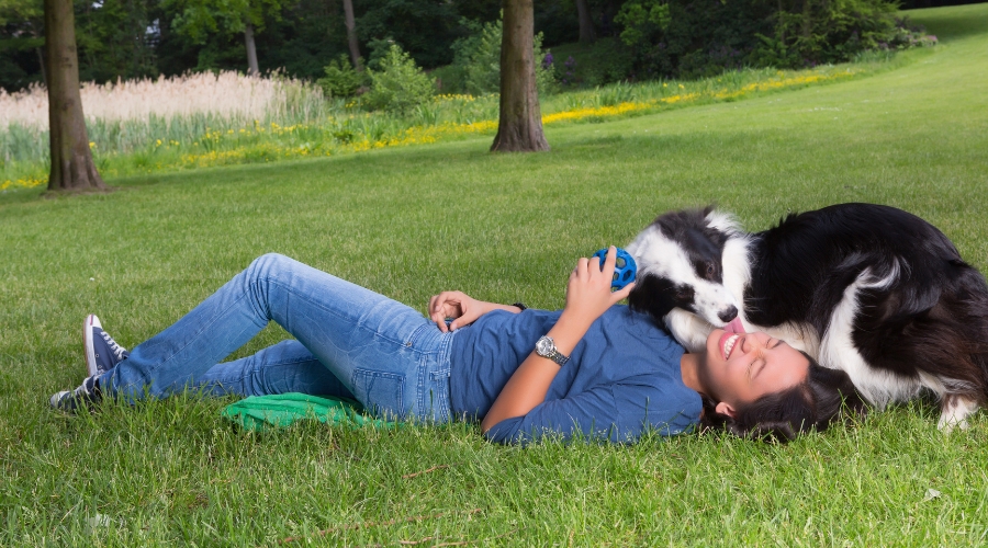 bedingungslose Hundeliebe - deine-online-hundeschule.de