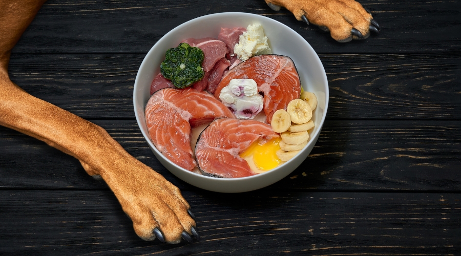 You are currently viewing Fakten – Fleisch für Hunde: Alles, was du über die Ernährung deines Hundes wissen musst