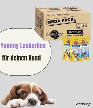 5Leckerlies für deinen Hund - deine-online-hundeschule.de