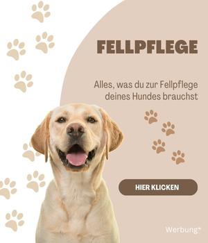 Fellpflege Hunde - deine-online-hundeschule.de