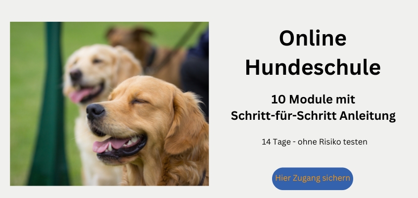 Online Hundeschule - deine-online-hundeschule.de