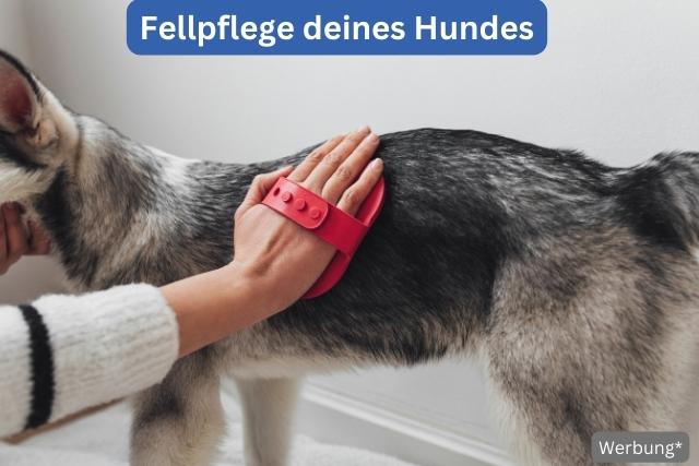 Hunde bürsten - deine-online-hundeschule.de