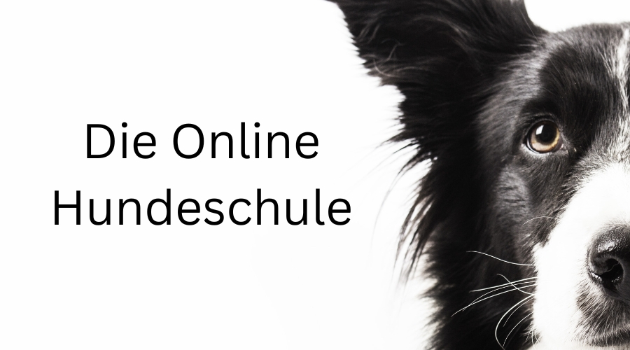 Die Online Hundeschule