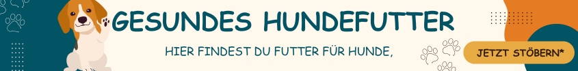 gesundes Hundesfutter